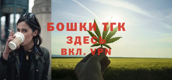 соль ск Заводоуковск