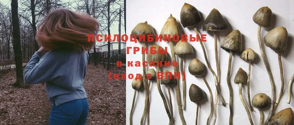 бутират Арсеньев
