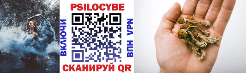 Псилоцибиновые грибы Psilocybine cubensis наркота Пласт